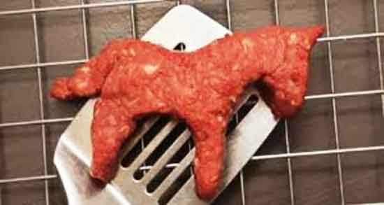 گوشت اسب برای سگ و ایا میتوان به سگ گوشت اسب داد یا نه گوشت اسب برای سگ ؛ ایا میتوان به سگ گوشت اسب داد یا نه