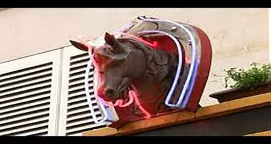 گوشت اسب در اسلام و خاصیت گوشت اسب در دین اسلام چیست گوشت اسب در اسلام ؛ خاصیت گوشت اسب در دین اسلام چیست