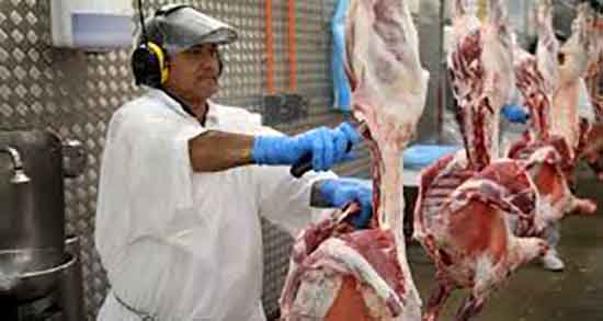 گوشت بره برای نوزاد و خواص شیره گوشت بره برای نوزادان چیست گوشت بره برای نوزاد ؛ خواص شیره گوشت بره برای نوزادان چیست