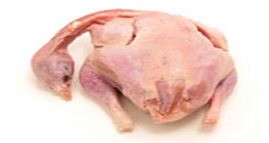 گوشت بلدرچین برای نوزاد هشت ماهه و دادن گوشت بلدرچین به نوزاد گوشت بلدرچین برای نوزاد هشت ماهه ؛ دادن گوشت بلدرچین به نوزاد