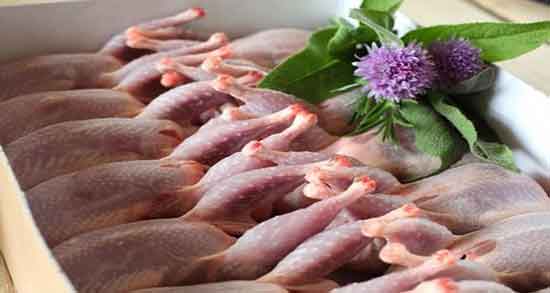 گوشت بلدرچین در روایات ؛ خاصیت گوشت بلدرچین در احادیث چیست گوشت بلدرچین در روایات ؛ خاصیت گوشت بلدرچین در احادیث چیست