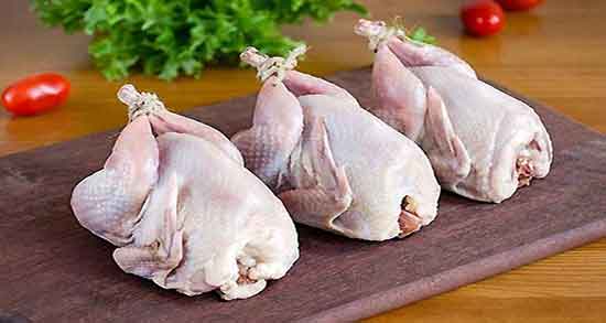 گوشت بلدرچین در شیردهی ؛ خوردن گوشت بلدرچین در دوران شیردهی گوشت بلدرچین در شیردهی ؛ خوردن گوشت بلدرچین در دوران شیردهی