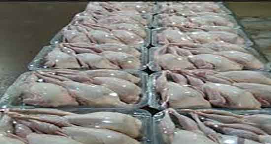 گوشت بلدرچین و کلسترول و ایا گوشت بلدرچین کلسترول دارد یا نه گوشت بلدرچین و کلسترول ؛ ایا گوشت بلدرچین کلسترول دارد یا نه