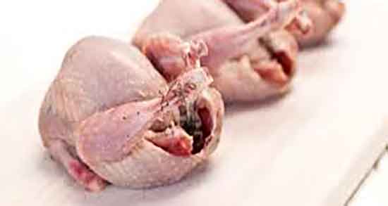 گوشت بلدرچین گرم یا سرد و گوشت بلدرچین طبع سرد دارد یا گرم گوشت بلدرچین گرم یا سرد ؛ گوشت بلدرچین طبع سرد دارد یا گرم