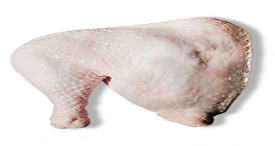 گوشت بوقلمون برای نوزاد و فواید گوشت بوقلمون برای کودک زیر یکسال گوشت بوقلمون برای نوزاد ؛ فواید گوشت بوقلمون برای کودک زیر یکسال