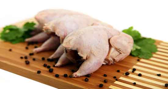 گوشت خروس در روایات و اهمیت مصرف گوشت خروس در روایات و احادیث گوشت خروس در روایات ؛ اهمیت مصرف گوشت خروس در روایات و احادیث