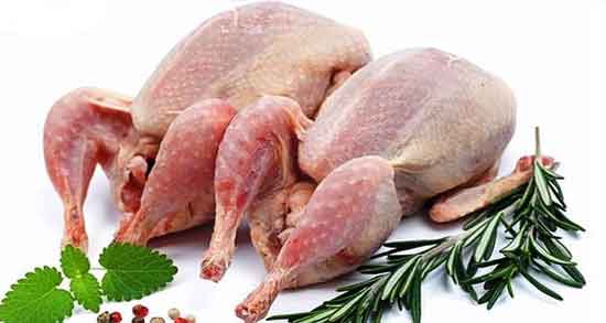 گوشت خروس و بارداری و گوشت خروس به دلیل هضم راحت مفید برای زنان باردار گوشت خروس و بارداری ؛ گوشت خروس به دلیل هضم راحت مفید برای زنان باردار