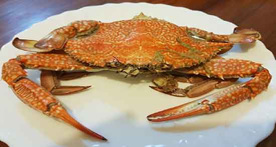 گوشت خرچنگ چه خاصیتی دارد و گوشت خرچنگ برای تقویت اسپرم اقایان گوشت خرچنگ چه خاصیتی دارد ؛ گوشت خرچنگ برای تقویت اسپرم اقایان