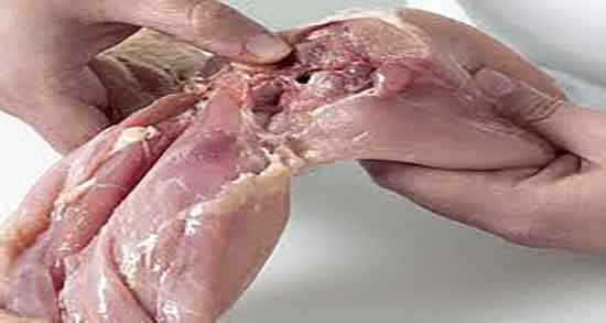 گوشت خرگوش برای تنگی نفس و ایا گوشت خرگوش برای اسم خوبه گوشت خرگوش برای تنگی نفس ؛ ایا گوشت خرگوش برای اسم خوبه