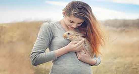 گوشت خرگوش برای چی خوب است و گوشت خرگوش برای آسم خوبه گوشت خرگوش برای چی خوب است ؛ گوشت خرگوش برای آسم خوبه