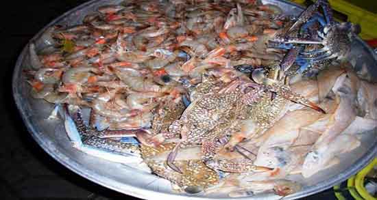 گوشت خرگوش و نازایی ؛ گوشت خرگوش به درمان نازایی کمک میکند گوشت خرگوش و نازایی ؛ گوشت خرگوش به درمان نازایی کمک میکند