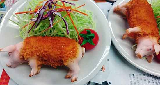 گوشت خوک برای چی خوبه و ایا گوشت خوک برای سقط جنین مفیده گوشت خوک برای چی خوبه ؛ ایا گوشت خوک برای سقط جنین مفیده