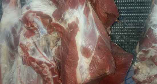 گوشت شتر و اسید اوریک ؛ تاثیر خوردن گوشت شتر برای اسید اوریک خون و کلسترول گوشت شتر و اسید اوریک ؛ تاثیر خوردن گوشت شتر برای اسید اوریک خون و کلسترول