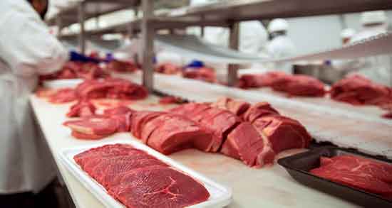 گوشت شترمرغ برای زن باردار ؛ درمان کم خونی در بارداری با خوردن گوشت شترمرغ گوشت شترمرغ برای زن باردار ؛ درمان کم خونی در بارداری با خوردن گوشت شترمرغ