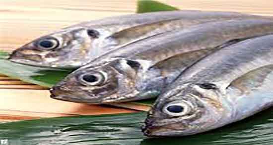 گوشت ماهی برای زن باردار و خوردن ماهی در سه ماه اول بارداری گوشت ماهی برای زن باردار ؛ خوردن ماهی در سه ماه اول بارداری