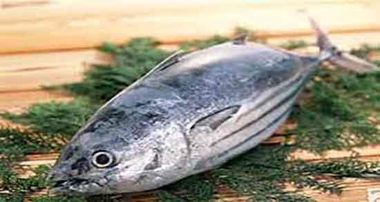 گوشت ماهی برای کلیه و ایا گوشت ماهی برای درمان سنگ کلیه خوبه گوشت ماهی برای کلیه ؛ ایا گوشت ماهی برای درمان سنگ کلیه خوبه