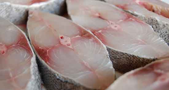 گوشت ماهی و نقرس و درمان بیماری نقرس با مصرف گوشت ماهی گوشت ماهی و نقرس ؛ درمان بیماری نقرس با مصرف گوشت ماهی