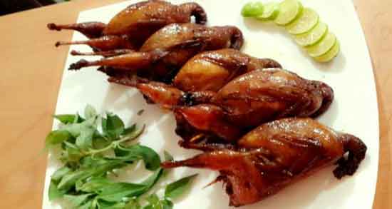 گوشت کبک سرده یا گرم و طبیعت گوشت کبک چگونه است گوشت کبک سرده یا گرم ؛ طبیعت گوشت کبک چگونه است