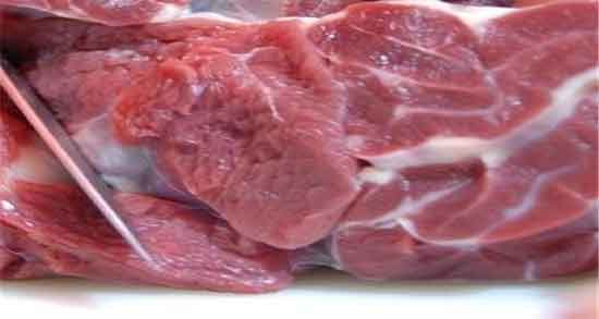 گوشت گاو سرد یا گرم و طبع گوشت گاو چگونه است گوشت گاو سرد یا گرم ؛ طبع گوشت گاو چگونه است