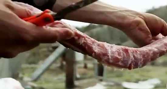 گوشت گراز خوردنی است و آیا می توان گوشت گراز را خورد؟ گوشت گراز خوردنی است ؛ آیا می توان گوشت گراز را خورد؟