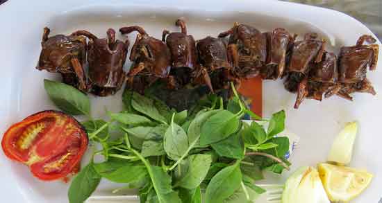 گوشت گنجشک چه خاصیتی دارد و برای درمان کدام بیماری مصرف گوشت گنجشک مفید است گوشت گنجشک چه خاصیتی دارد ؛ برای درمان کدام بیماری مصرف گوشت گنجشک مفید است