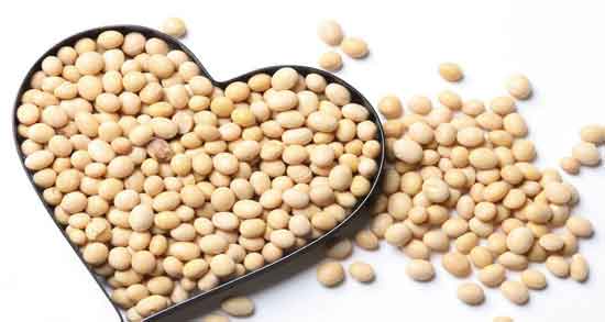 آجیل سویا برای بارداری ؛ حفظ سلامت جنین و زن باردار با مصرف آجیل سویا آجیل سویا برای بارداری ؛ حفظ سلامت جنین و زن باردار با مصرف آجیل سویا