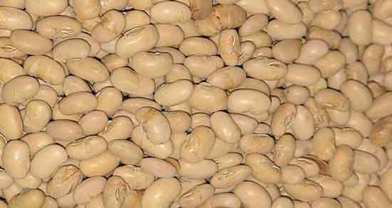 آجیل سویا و چاقی ؛ وجود فیبر و پروتئین بالا در آجیل سویا موثر برای چاق شدن آجیل سویا و چاقی ؛ وجود فیبر و پروتئین بالا در آجیل سویا موثر برای چاق شدن