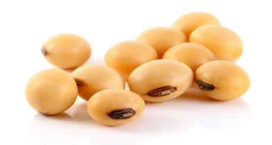 آجیل سویا چقدر کالری دارد ؛ بررسی ارزش غذایی و کالری موجود در ۱۰۰ گرم آجیل سویا آجیل سویا چقدر کالری دارد ؛ بررسی ارزش غذایی و کالری موجود در 100 گرم آجیل سویا