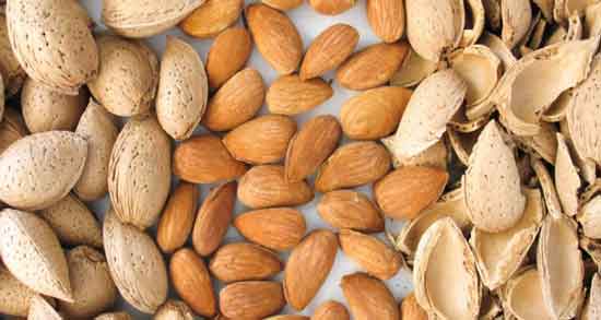 بادام درختی برای تیروئید و خواص و مضرات مصرف بادام درختی برای کم کاری تیروئید بادام درختی برای تیروئید ؛ خواص و مضرات مصرف بادام درختی برای کم کاری تیروئید