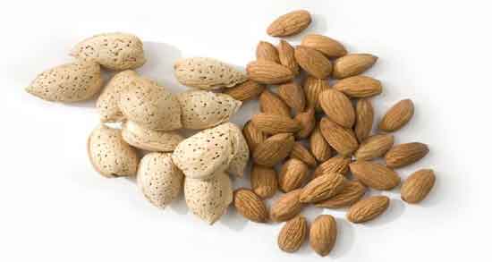 بادام درختی و چربی سوزی و کاهش وزن و افزایش چربی سوزی در بدن با بادام درختی بادام درختی و چربی سوزی ؛ کاهش وزن و افزایش چربی سوزی در بدن با بادام درختی