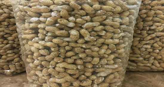 بادام زمینی برای زن باردار و حفظ سلامت جنین و زن باردار با خوردن بادام زمینی بادام زمینی برای زن باردار ؛ حفظ سلامت جنین و زن باردار با خوردن بادام زمینی