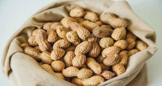 بادام زمینی در شیردهی و مقوی کردن شیر مادر با مصرف بادام زمینی بادام زمینی در شیردهی ؛ مقوی کردن شیر مادر با مصرف بادام زمینی