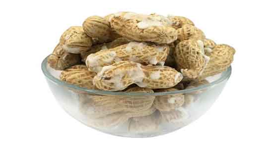 بادام زمینی و تیروئید و خواص و مضرات خوردن بادام زمینی برای بیماری تیروئید بادام زمینی و تیروئید ؛ خواص و مضرات خوردن بادام زمینی برای بیماری تیروئید