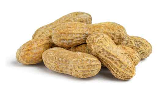 بادام زمینی و سنگ کیسه صفرا و پیشگیری و درمان سنگ کیسه صفرا با بادام زمینی بادام زمینی و سنگ کیسه صفرا ؛ پیشگیری و درمان سنگ کیسه صفرا با بادام زمینی