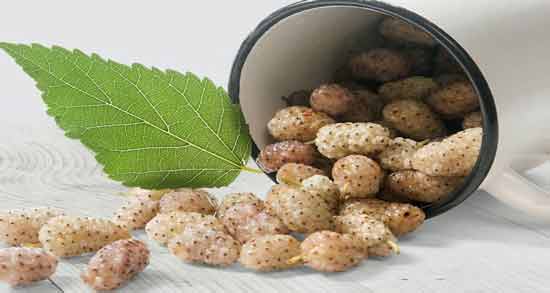 توت سفید و یبوست و خاصیت دارویی و درمانی مصرف توت سفید برای درمان یبوست توت سفید و یبوست ؛ خاصیت دارویی و درمانی مصرف توت سفید برای درمان یبوست