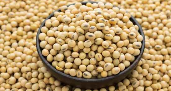 خواص آجیل سویا ؛ برای مردان ، زنان ، در بدنسازی و در بارداری خواص آجیل سویا ؛ برای مردان ، زنان ، در بدنسازی و در بارداری