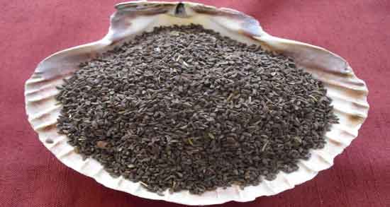 خواص اسپند ؛ برای رحم زنان و گوارش و مو و سودا و در لاغری و نازایی خواص اسپند ؛ برای رحم زنان و گوارش و مو و سودا و در لاغری و نازایی