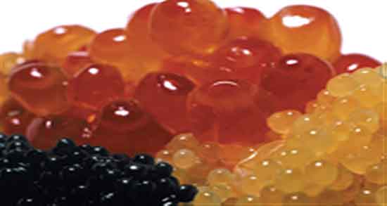 خواص اشپل ماهی چیست و فواید مصرف اشپل ماهی برای بدن چیست خواص اشپل ماهی چیست ؛ فواید مصرف اشپل ماهی برای بدن چیست