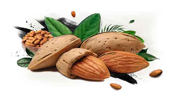 خواص بادام تلخ برای قند و کنترل و تنظیم سطح قند خون با خوردن بادام تلخ خواص بادام تلخ برای قند ؛ کنترل و تنظیم سطح قند خون با خوردن بادام تلخ