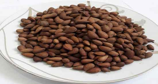 خواص بادام تلخ وحشی و همه چیز درباره خاصیت بادام تلخ وحشی یا بادام کوهی خواص بادام تلخ وحشی ؛ همه چیز درباره خاصیت بادام تلخ وحشی یا بادام کوهی