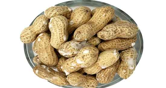 خواص بادام زمینی برای پوست و درمان زخم و کبودی پوست با مصرف بادام زمینی خواص بادام زمینی برای پوست ؛ درمان زخم و کبودی پوست با مصرف بادام زمینی