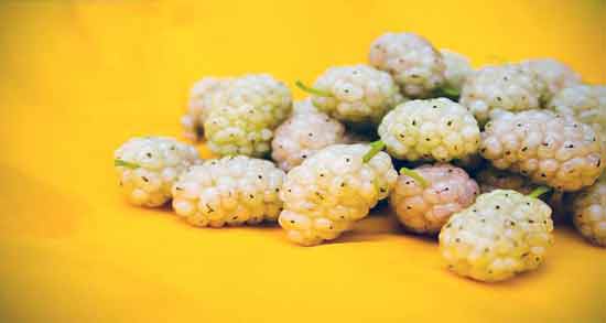 خواص توت سفید در طب سنتی و آشنایی با خواص درمانی توت سفید از دیدگاه طب سنتی خواص توت سفید در طب سنتی ؛ آشنایی با خواص درمانی توت سفید از دیدگاه طب سنتی