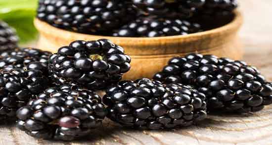 خواص توت سیاه برای لاغری و کاهش وزن و کاهش چربی شکم با خوردن توت سیاه خواص توت سیاه برای لاغری ؛ کاهش وزن و کاهش چربی شکم با خوردن توت سیاه