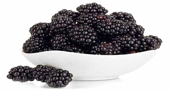 خواص توت سیاه برای پوست ؛ خاصیت پاکسازی پوست صورت با خوردن توت سیاه خواص توت سیاه برای پوست ؛ خاصیت پاکسازی پوست صورت با خوردن توت سیاه