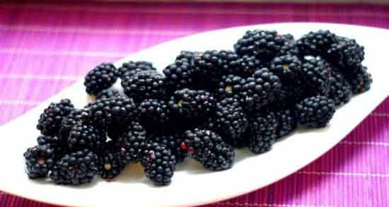 خواص توت سیاه برای کم خونی و تاثیر خوردن توت سیاه برای درمان کم خونی خواص توت سیاه برای کم خونی ؛ تاثیر خوردن توت سیاه برای درمان کم خونی