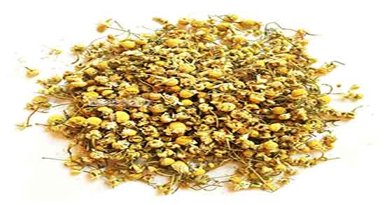 خواص دمنوش بابونه برای معده ؛ فواید دمنوش بابونه برای درد معده خواص دمنوش بابونه برای معده ؛ فواید دمنوش بابونه برای درد معده