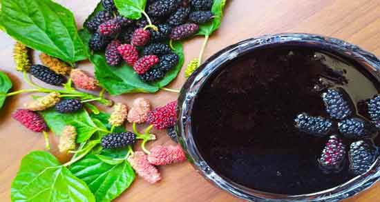 خواص شیره توت سیاه و درمان خانگی کم خونی با خوردن شیره توت سیاه خواص شیره توت سیاه ؛ درمان خانگی کم خونی با خوردن شیره توت سیاه