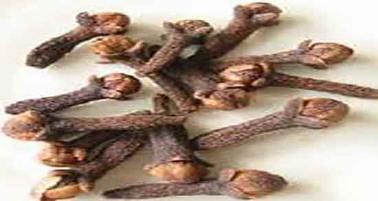 خواص میخک برای زنان باردار و مصرف روزانه دمنوش میخک برای بارداران خواص میخک برای زنان باردار ؛ مصرف روزانه دمنوش میخک برای بارداران