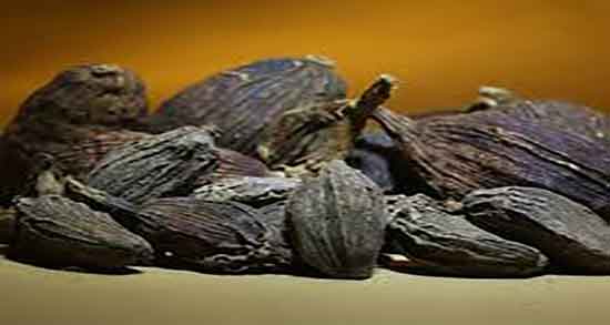 خواص هلیله سیاه و شکر سرخ و هلیله سیاه و شکر سرخ و مصطکی خواص هلیله سیاه و شکر سرخ ؛ هلیله سیاه و شکر سرخ و مصطکی