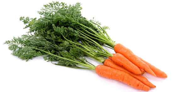 خواص هویج برای اسب و فواید مصرف تفاله هویج برای خوراک اسب خواص هویج برای اسب ؛ فواید مصرف تفاله هویج برای خوراک اسب